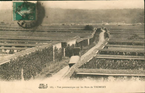 Vue_panoramique_murs_01.jpg