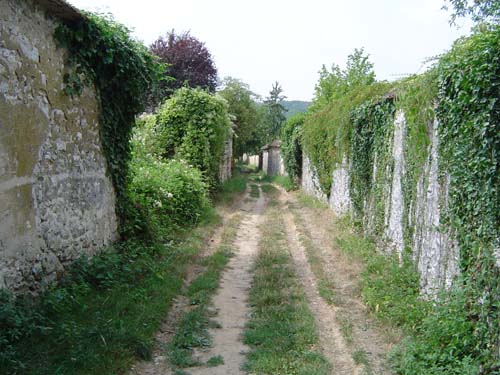 longs_sillons_05.JPG