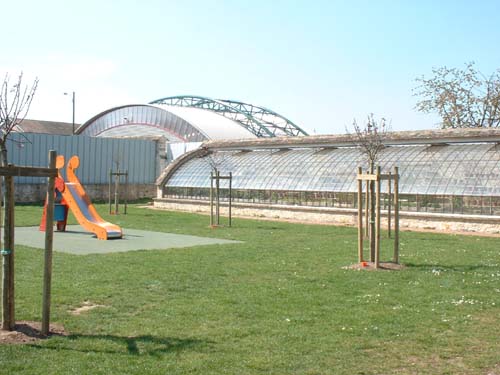 salomon_02.jpg