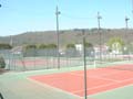 tennis_01.jpg
